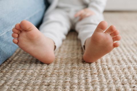Image depicting the Service Carpet Cleaning